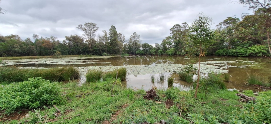 7 Bedroom Property for Sale in Swartruggens North West